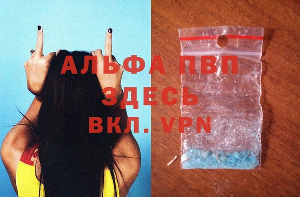 Альфа ПВП Новодвинск
